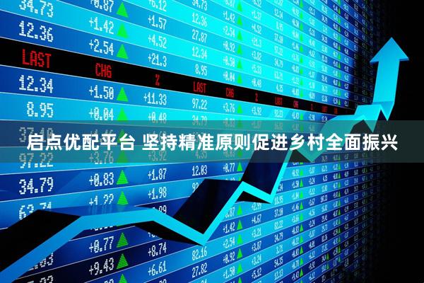 启点优配平台 坚持精准原则促进乡村全面振兴