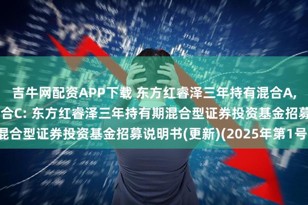 吉牛网配资APP下载 东方红睿泽三年持有混合A,东方红睿泽三年持有混合C: 东方红睿泽三年持有期混合型证券投资基金招募说明书(更新)(2025年第1号)
