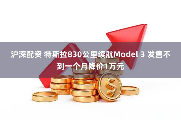沪深配资 特斯拉830公里续航Model 3 发售不到一个月降价1万元